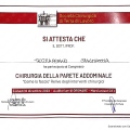 Ingrandire l'immagine: certificate 17