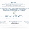 Ingrandire l'immagine: certificate 2