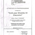 Ingrandire l'immagine: certificate 4