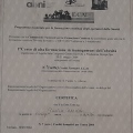 Ingrandire l'immagine: certificate 4