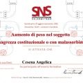 Ingrandire l'immagine: certificate 15