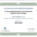 Ingrandire l'immagine: certificate 16