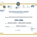 Ingrandire l'immagine: certificate 18