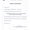 Ingrandire l'immagine: certificate 9