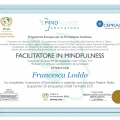 Ingrandire l'immagine: certificate 3