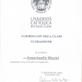 Ingrandire l'immagine: certificate 3