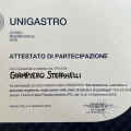Ingrandire l'immagine: certificate 31
