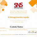 Ingrandire l'immagine: certificate 6