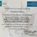 Ingrandire l'immagine: certificate 2