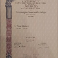 Ingrandire l'immagine: certificate 1