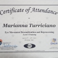 Ingrandire l'immagine: certificate 3