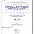 Ingrandire l'immagine: certificate 5