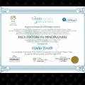 Ingrandire l'immagine: certificate 4