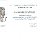 Ingrandire l'immagine: certificate 6