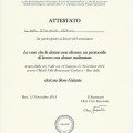 Ingrandire l'immagine: certificate 15