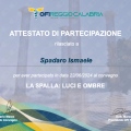 Ingrandire l'immagine: certificate 50