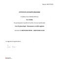 Ingrandire l'immagine: certificate 20