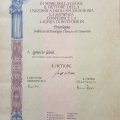 Ingrandire l'immagine: certificate 1