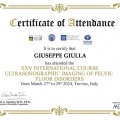 Ingrandire l'immagine: certificate 8