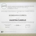 Ingrandire l'immagine: certificate 1