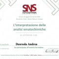 Ingrandire l'immagine: certificate 2