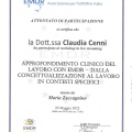 Ingrandire l'immagine: certificate 11