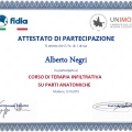 Ingrandire l'immagine: certificate 1