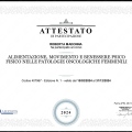 Ingrandire l'immagine: certificate 245