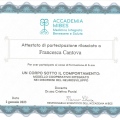 Ingrandire l'immagine: certificate 1