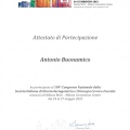 Ingrandire l'immagine: certificate 5