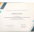 Ingrandire l'immagine: certificate 1