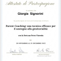 Ingrandire l'immagine: certificate 1
