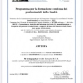Ingrandire l'immagine: certificate 41