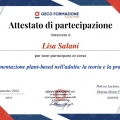 Ingrandire l'immagine: certificate 3