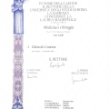 Ingrandire l'immagine: certificate 1
