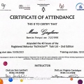 Ingrandire l'immagine: certificate 2