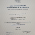 Ingrandire l'immagine: certificate 3