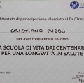 Ingrandire l'immagine: certificate 11