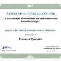 Ingrandire l'immagine: certificate 8