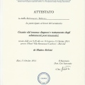 Ingrandire l'immagine: certificate 6