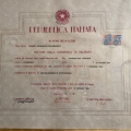 Ingrandire l'immagine: certificate 4