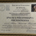 Ingrandire l'immagine: certificate 9
