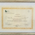 Ingrandire l'immagine: certificate 3