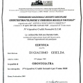 Ingrandire l'immagine: certificate 7