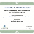 Ingrandire l'immagine: certificate 6