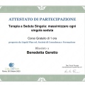 Ingrandire l'immagine: certificate 11