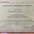 Ingrandire l'immagine: certificate 6