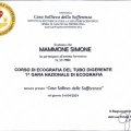 Ingrandire l'immagine: certificate 2