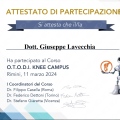 Ingrandire l'immagine: certificate 11