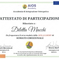 Ingrandire l'immagine: certificate 8